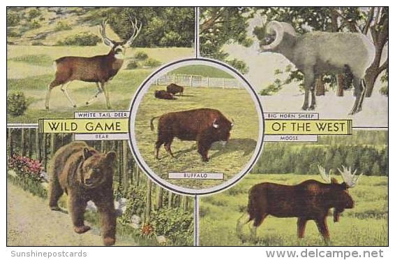 Montana Montana Wild Game Of The West - Autres & Non Classés