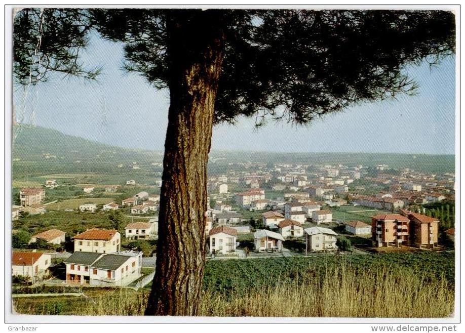 GRUMELLO DEL MONTE, PANORAMA, VG 1972   **** - Bergamo