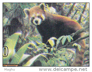 India MNH 2009, Block Of 4, Red Panda, Animal, Rare Flora Of North East Series - Other & Unclassified