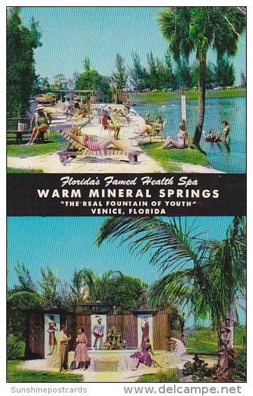 Florida Venice Warm Mineral Springs - Venice