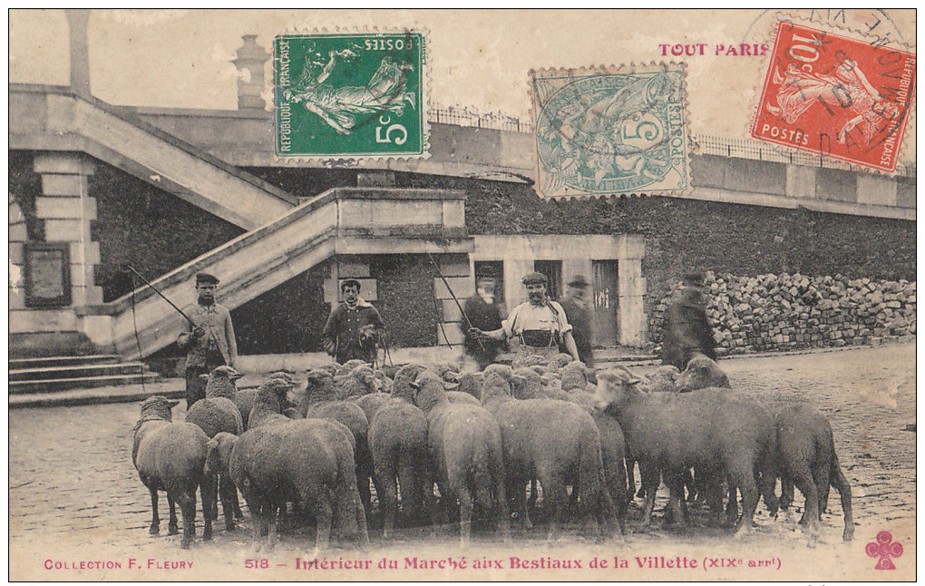 TOUT PARIS N° 518  XIX LA VILLETTE Intèrieur Marché Aux Bestiaux  Arrivée Des MOUTONS ( Lire ETAT ) - Distrito: 19