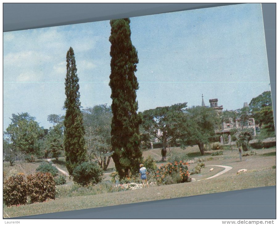 (101) Bristish West Indies - Port Of Spain Royal Botanic Gardens - Vierges (Iles), Britann.