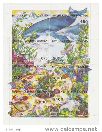 Batum-Fishes Souvenir Sheet  MNH - Fishes