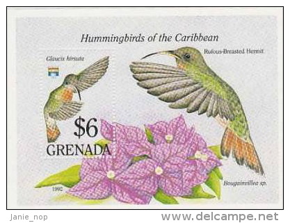 Grenada-1992 Hummingbirds Souvenir Sheet  MNH - Hummingbirds