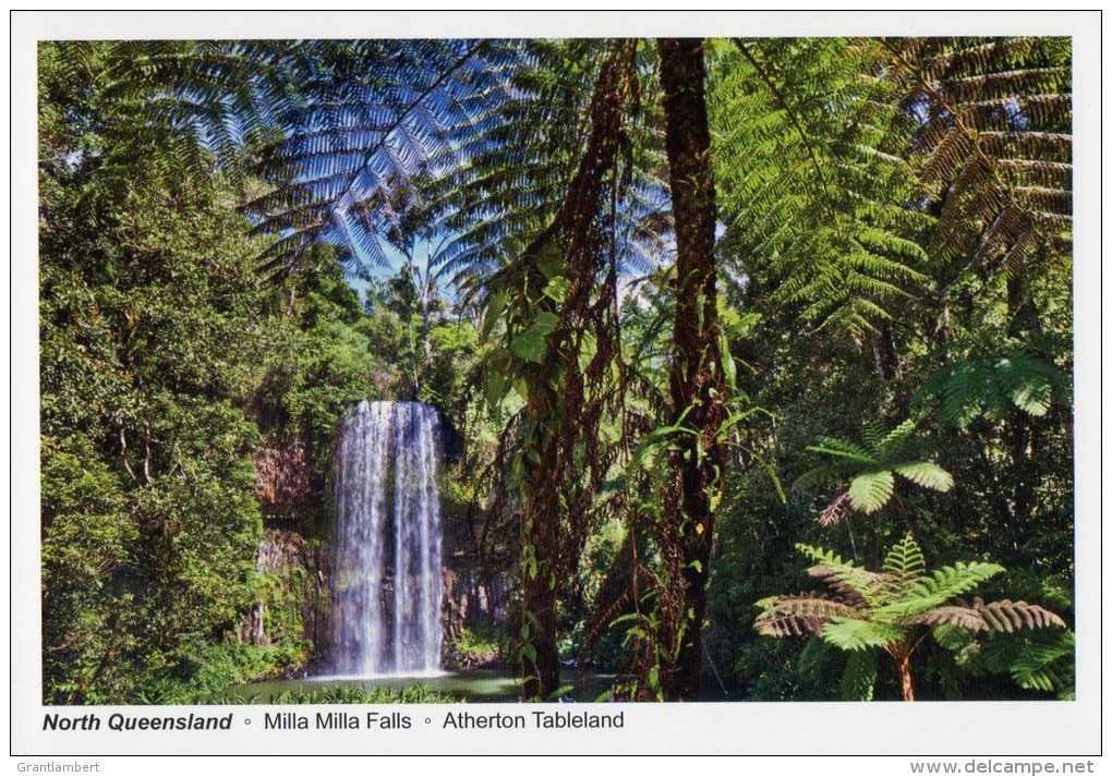 Milla Milla Falls, Atherton Tableland, North Queensland - Gottschalk Unused - Atherton Tablelands