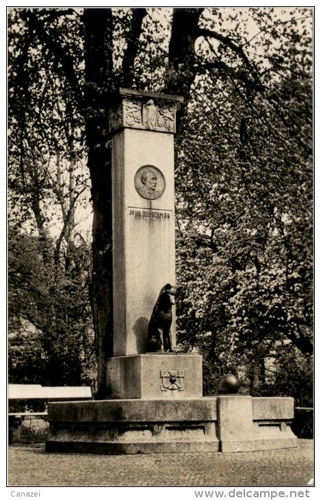 AK Güstrow, John Brinckmann Brunnen, Gel, 1960 - Güstrow