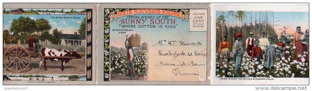 TYPICAL SCENES OF THE SUNNY SOUTH " WHERE COTTON IS KING ". 18 IMAGES. + DIXIE LAND - Black Americana