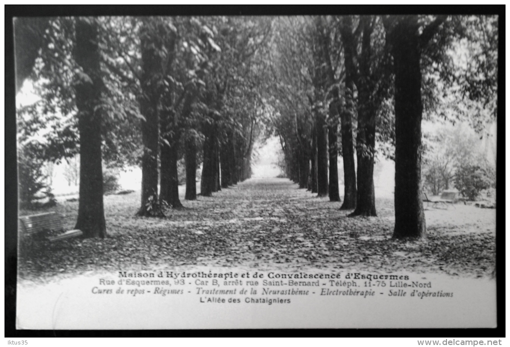 CPA-LILLE-NORD-59-MAISON D'HYDROTHERAPIE ET DE CONVALSCENCE D'ESQUERMES-ALLEE DES CHATAIGNIERS - Lille