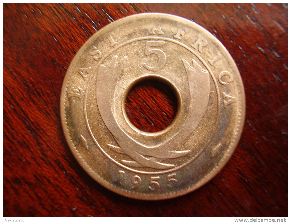 BRITISH EAST AFRICA USED FIVE CENT COIN BRONZE Of 1955 - British Colony