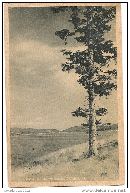 AM SCHLUCHSEE  -----SCHWARZWALD - Schluchsee