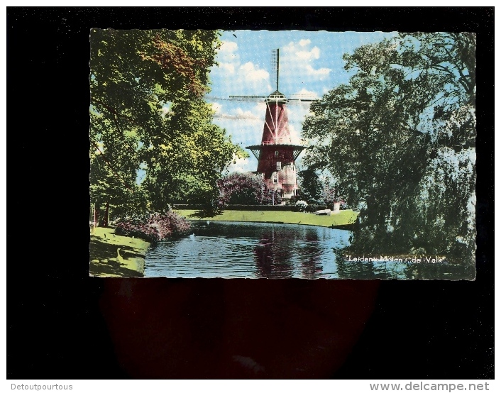 LEIDEN : Molen De Valk + Molen ( Moulin à Vent Wind Mill Mühle Molinos ) - Leiden