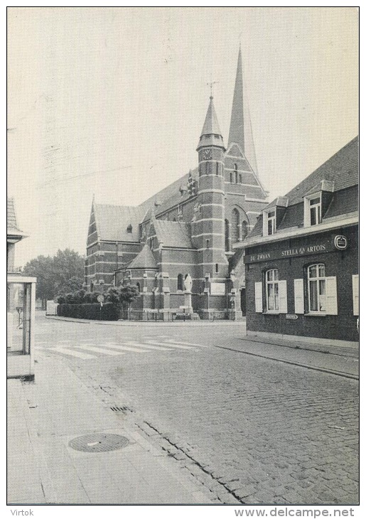 Bornem - Hingene :  Kerk  (Groot Formaat) - Bornem