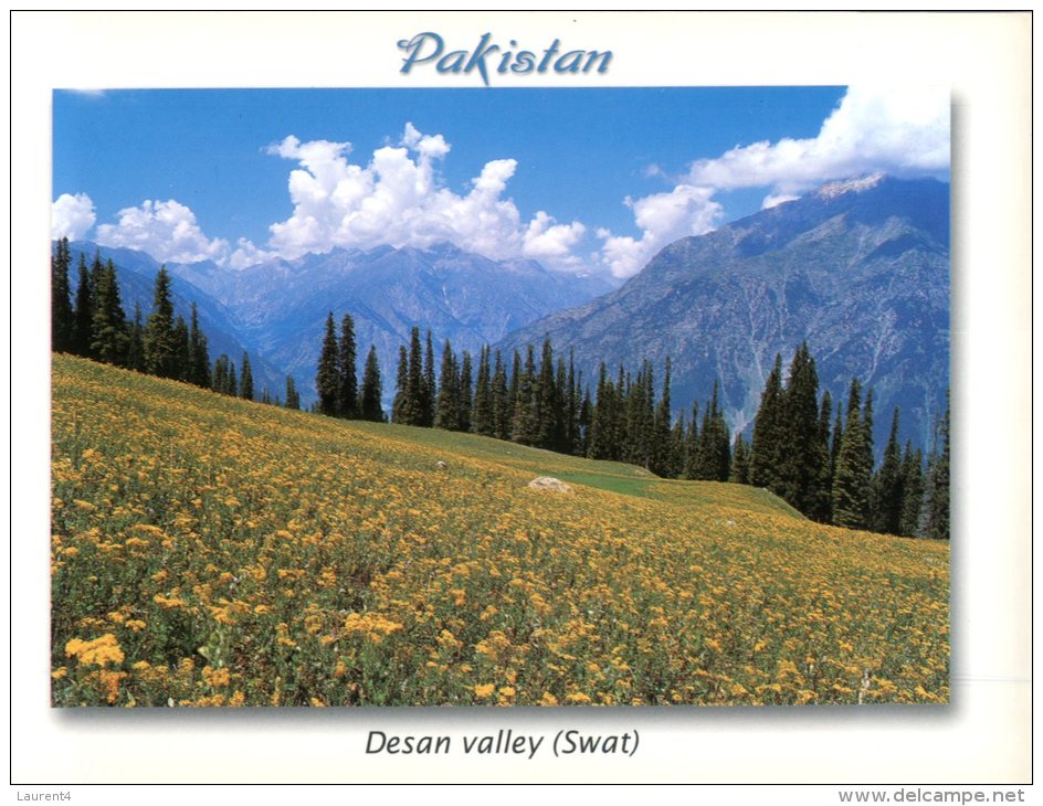 (321) Pakistan - Desan Valley - Pakistan