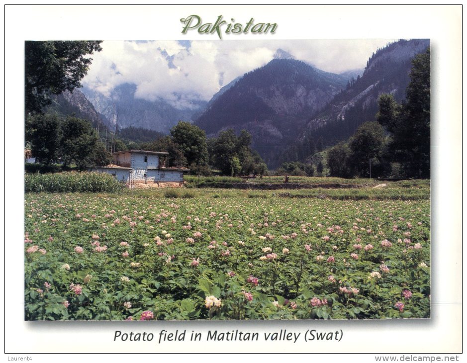 (321) Pakistan - Matiltan Valley - Pakistan