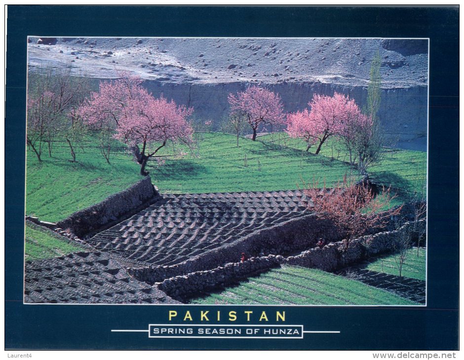 (321) Pakistan - Spring In Hunza - Pakistan