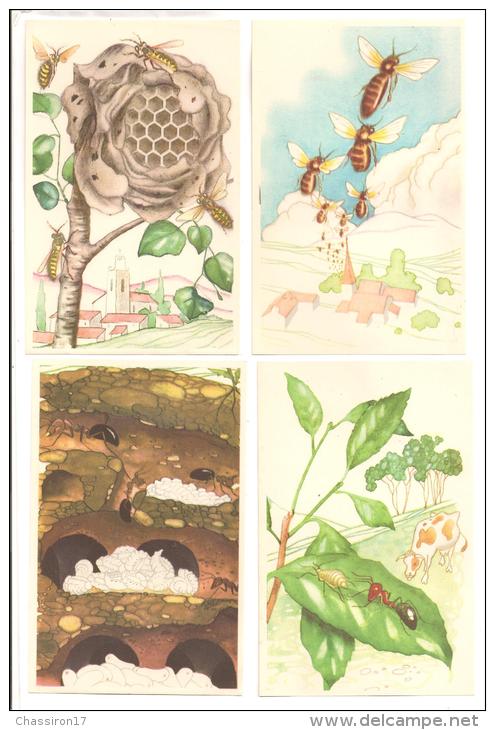 ANIMAUX    - Lot De 4 Cartes Et 16 Images    -   Insectes Divers - Insectes