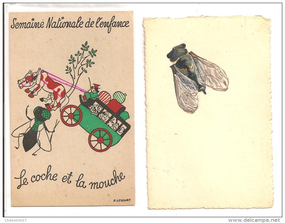 ANIMAUX    - Lot De 2 Cartes     -   Insectes  - Mouches - Insects