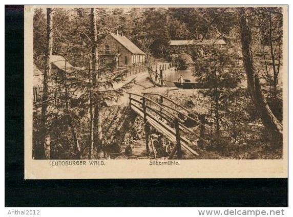 Silbermühle Teutoburger Wald Herford Minden Holz-Brücke Sw Um 1920 - Herford