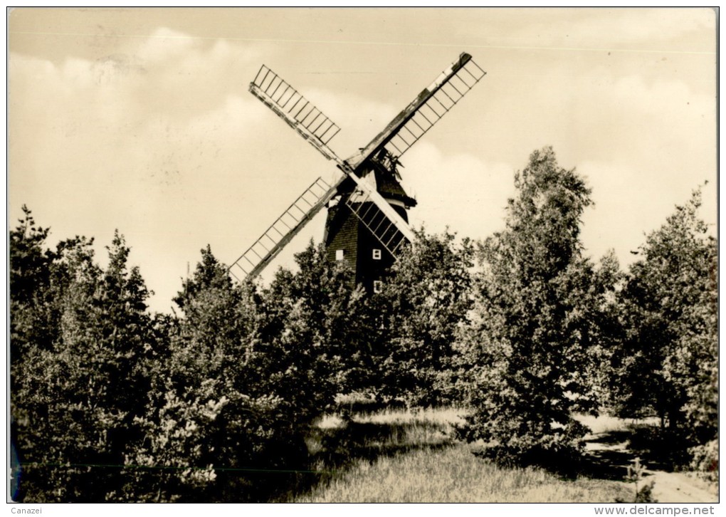 AK Krakow Am See, Windmühle, Gel, 1970 - Krakow