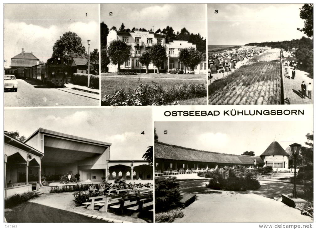 AK Kühlungsborn, Molli, PKW Wartburg, Konzertgarten, Min Hüsung, Gel, 1981 - Kuehlungsborn