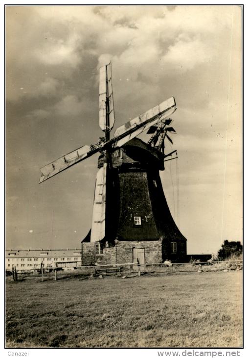 AK Kühlungsborn, Windmühle, Gel, 1970 - Kuehlungsborn