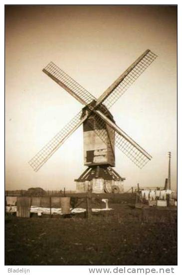 MEETKERKE ~ Zuienkerke (W.Vl.) - Molen/moulin - Zeldzame Opname Ca. 1920 V.d. Verdwenen Standaardmolen Van Den Berghe - Zuienkerke