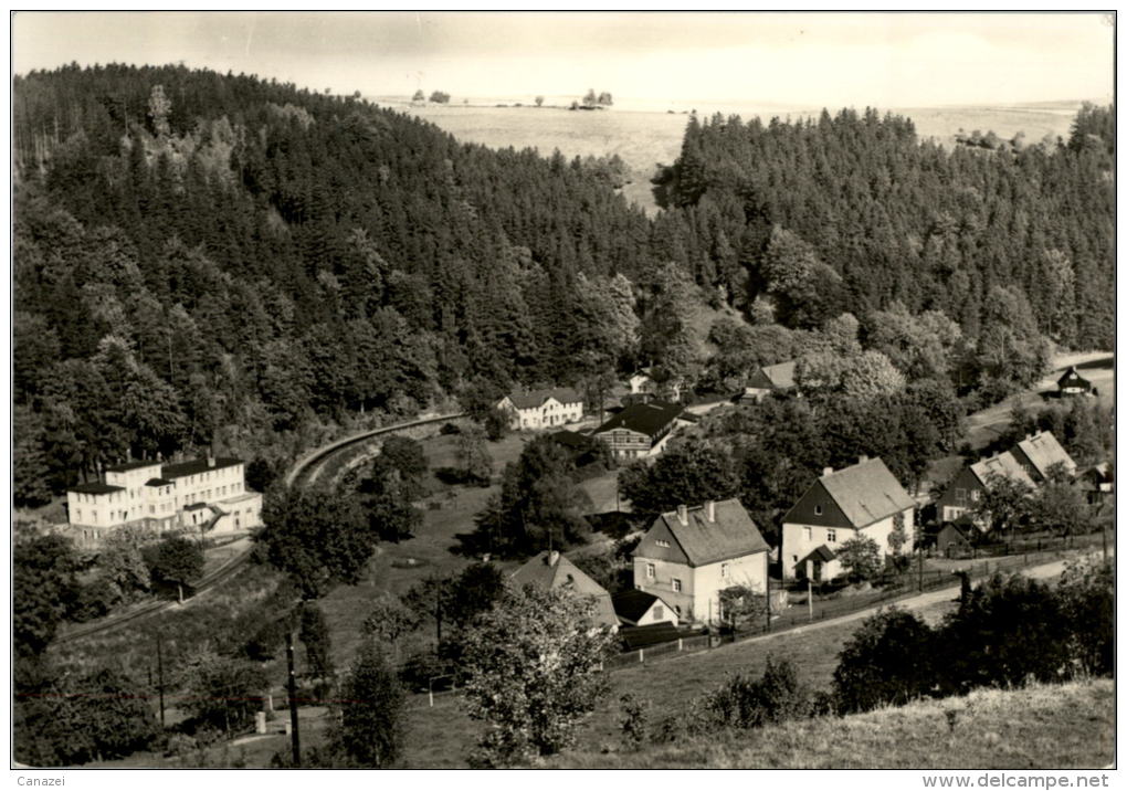 AK Lauenstein/Erzgebirge, Gel, 1973 - Lauenstein