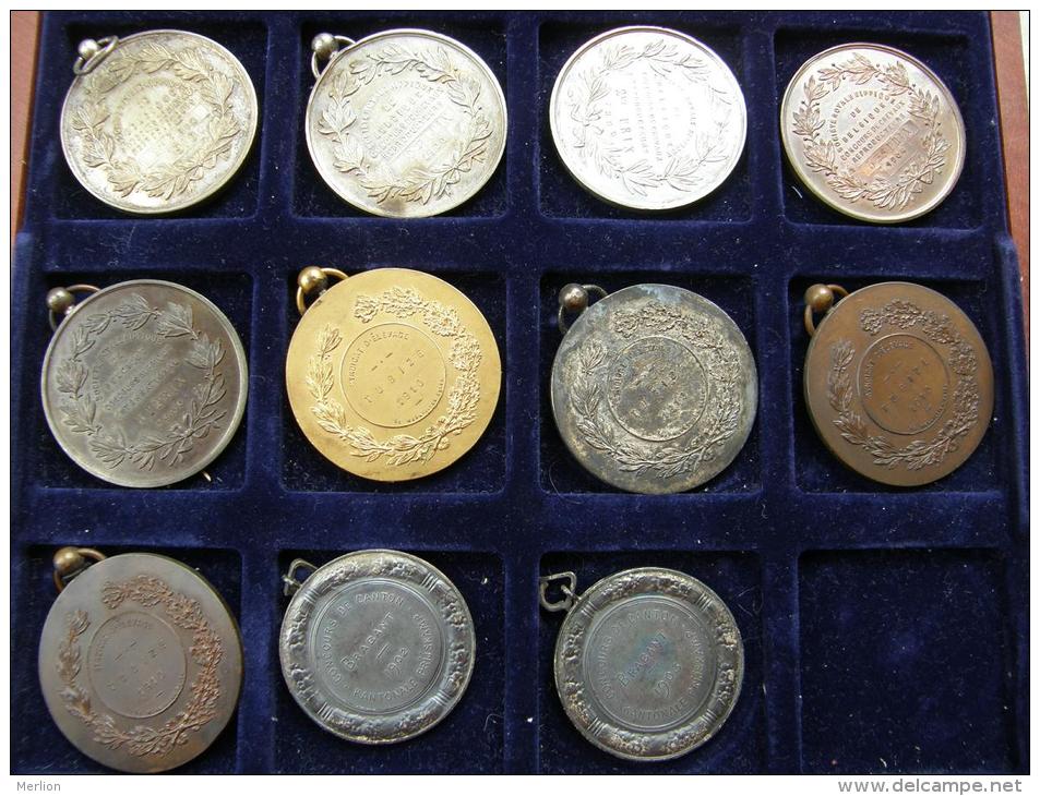 Belgium  11 Old Medals -Belgique 11  Medailles  1899-1910  Chevaux - Bovine - Firma's