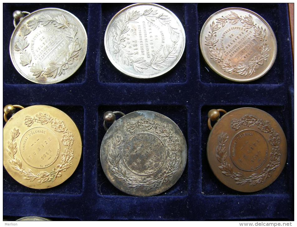 Belgium  11 Old Medals -Belgique 11  Medailles  1899-1910  Chevaux - Bovine - Unternehmen