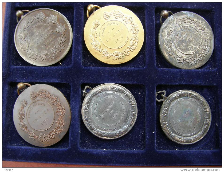 Belgium  11 Old Medals -Belgique 11  Medailles  1899-1910  Chevaux - Bovine - Professionnels / De Société