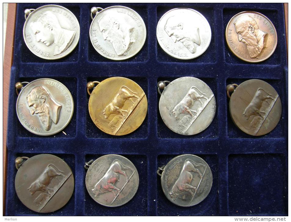 Belgium  11 Old Medals -Belgique 11  Medailles  1899-1910  Chevaux - Bovine - Profesionales / De Sociedad