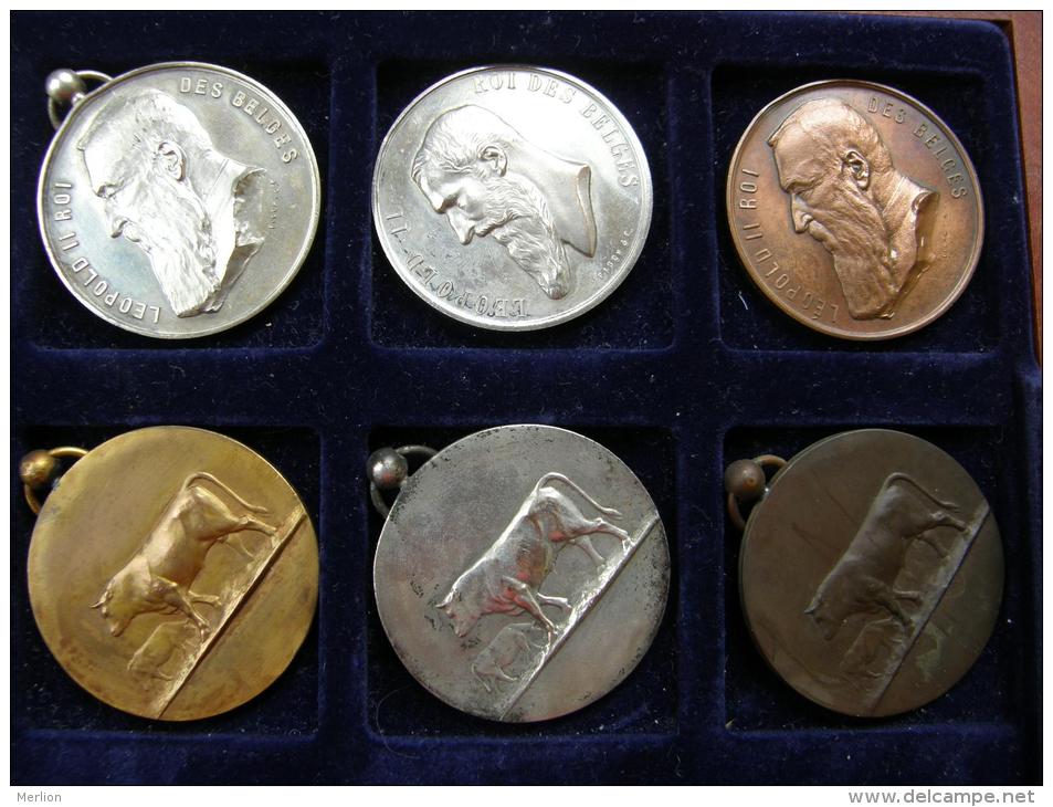 Belgium  11 old medals -Belgique 11  medailles  1899-1910  Chevaux - Bovine