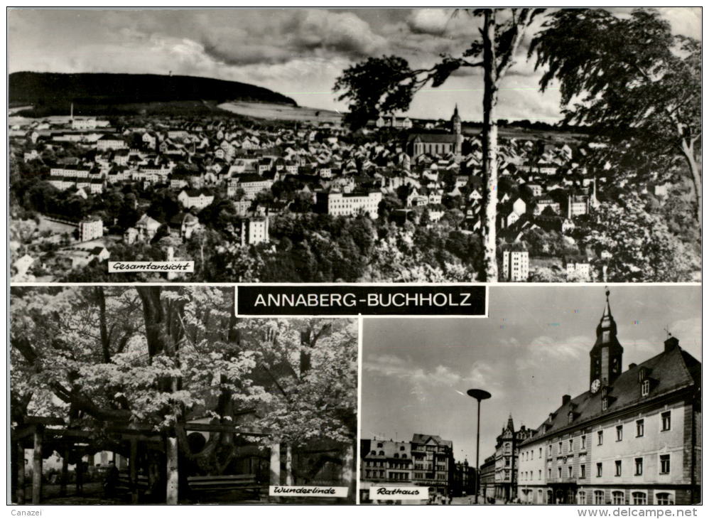 AK Annaberg-Buchholz, Wunderlinde, Rathaus, Gel 1970 - Annaberg-Buchholz