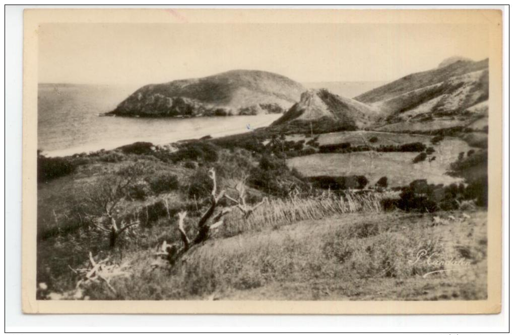 Guadeloupe - Les SAINTES - Terre De Haut - Vue Partielle De Grand'Anse - Autres & Non Classés