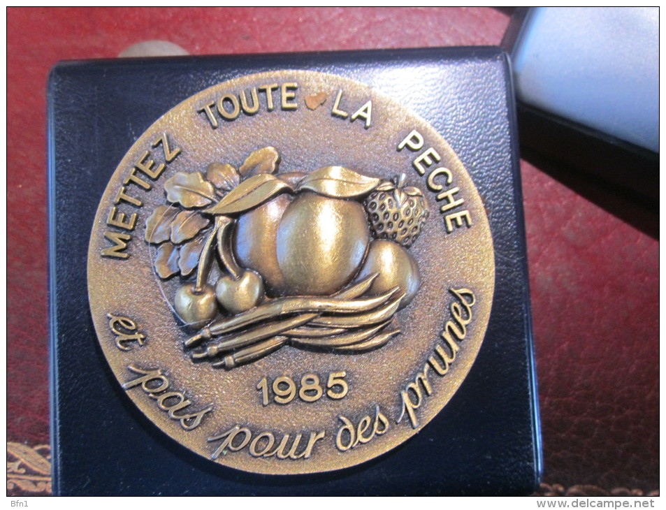 MEDAILLE FELIX POTIN - 1985- METTEZ TOUTE LA PECHE ET PAS POUR DES PRUNES VOIR PHOTOS - Professionnels / De Société