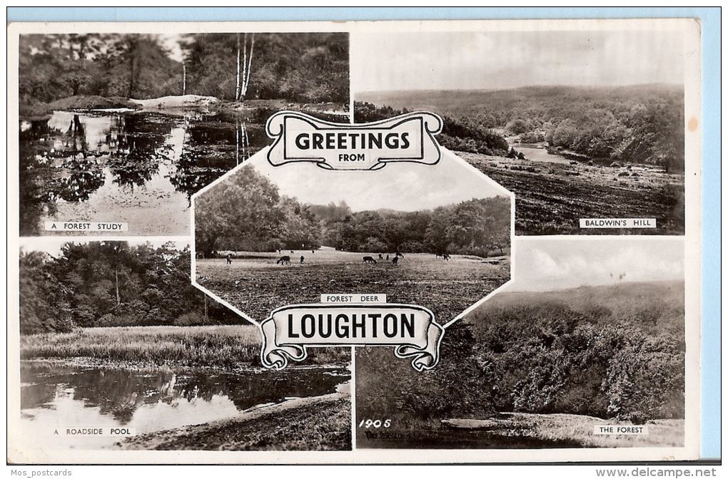 Essex Postcard - Greetings From Loughton     A3318 - Other & Unclassified