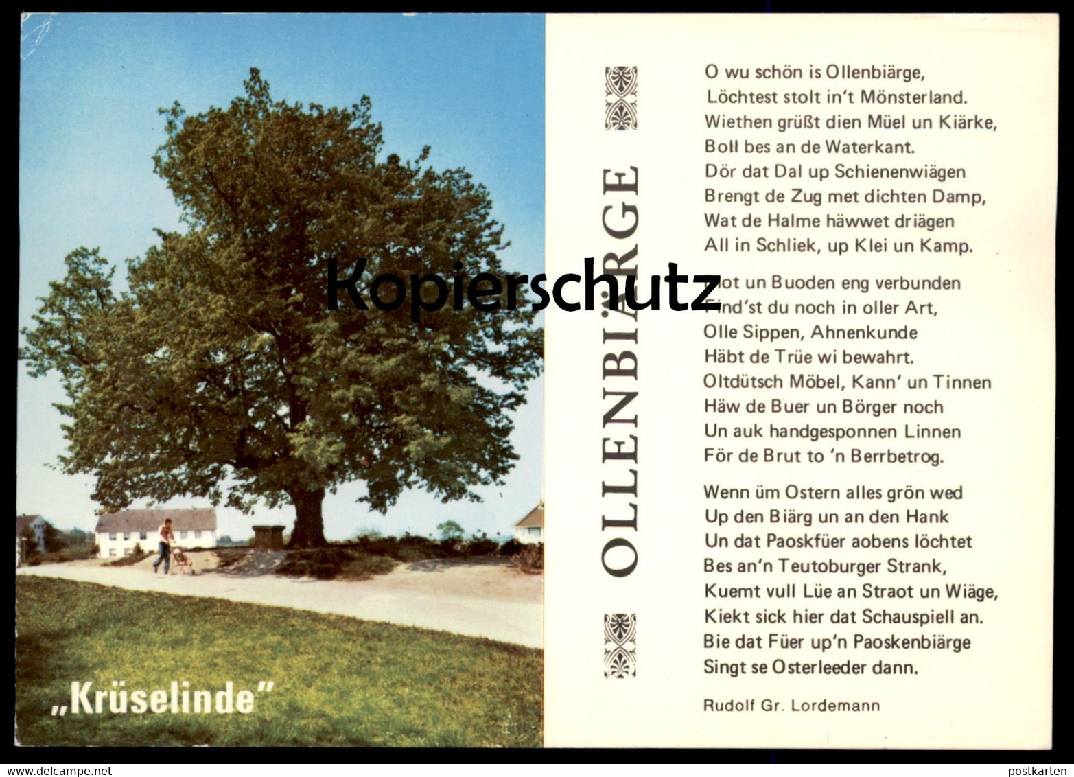 POSTKARTE KRÜSELINDE OLLENBIÄRGE ALTENBERGE LINDE BAUM TREE ARBRE Tilleul Linden Plattdeutsch Dialekt Dialect Postcard - Sonstige & Ohne Zuordnung