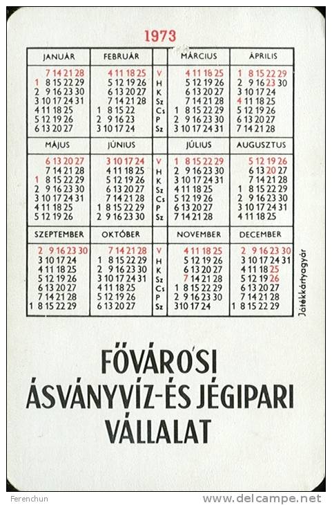 PEPSI * COLA * SOFT DRINK * WOMAN * GIRL * BUDAPEST * CALENDAR * FAJV 1973 * Hungary - Small : 1971-80