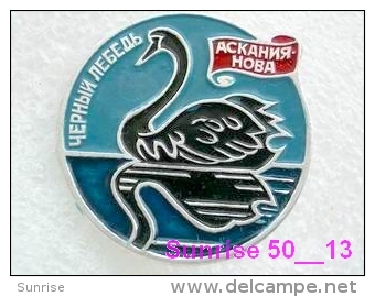 Animals: Bird Black Swan - Cygnus Atratus - Ascanius Nova / Old Soviet Badge_035_an2201 - Animals