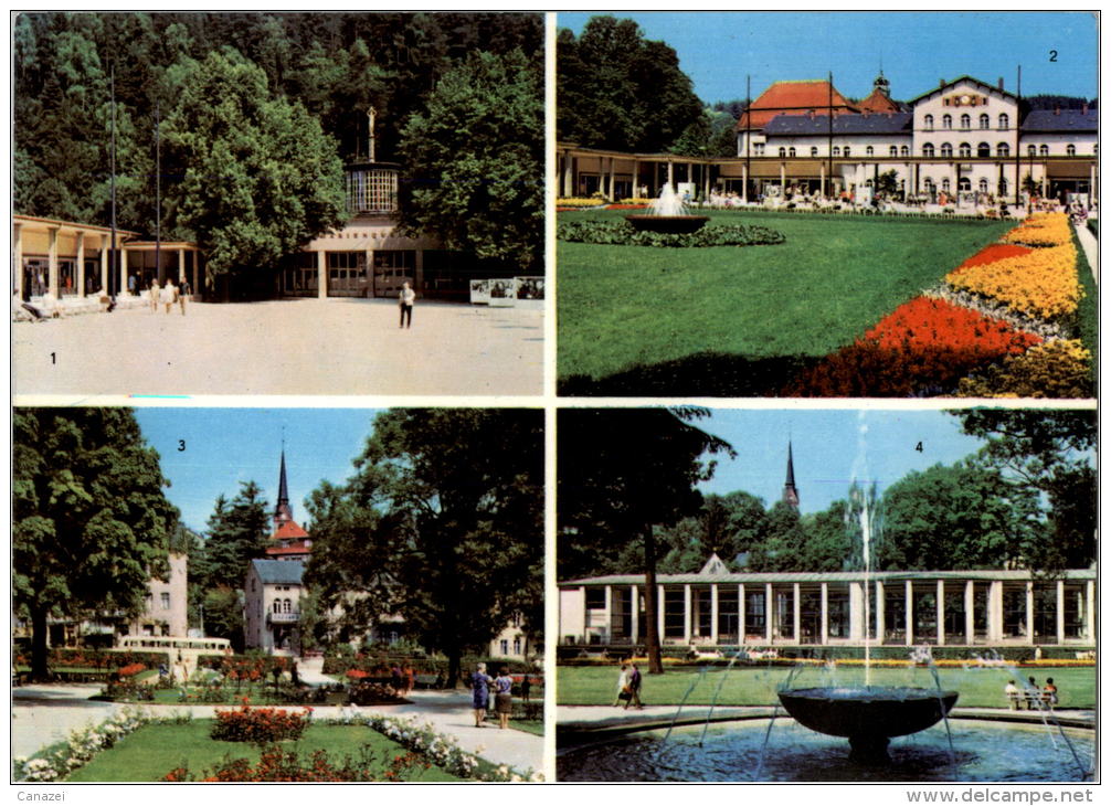 AK Bad Elster, Rosengarten, Badeplatz, Ung, 1972 - Bad Elster