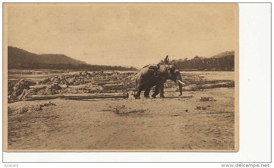 Laos   Elephant Tirant Une Bille De Teck  Edit Cie Coloniale Du Laos  Vientiane - Laos