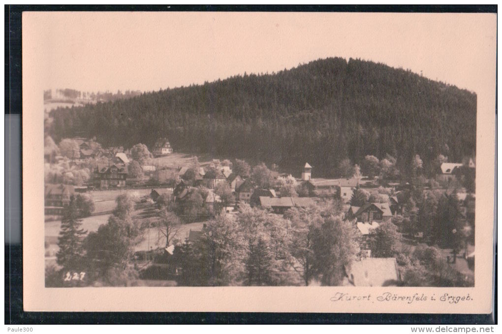 Altenberg Im Erzgebirge - Bärenfels - Ortsansicht - Altenberg