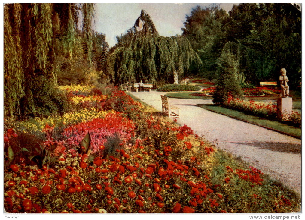 AK Bad Köstritz, Blick Ins Rosarium, Gel, 1963 - Bad Köstritz