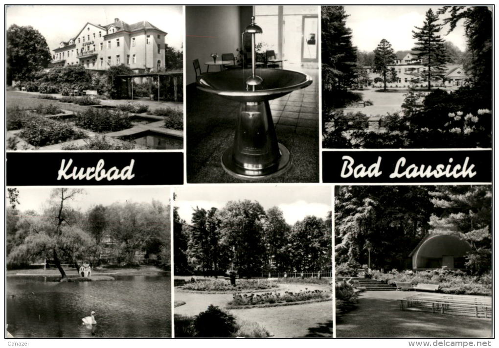 AK Bad Lausick, Kurpark, Trinkhalle, Kurmittelhaus, Gel, 1983 - Bad Lausick