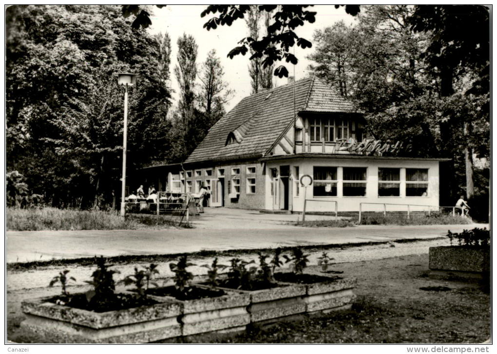 AK Bad Saarow-Pieskow, HO-Gaststätte Pechhütte, Gel, 1981 - Bad Saarow