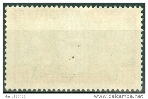 GUADALUPA, GUADELOUPE, COLONIA FRANCESE, FRENCH COLONY, 1916-1917, FRANCOBOLLO NUOVO (MNG), Scott 176 - Unused Stamps