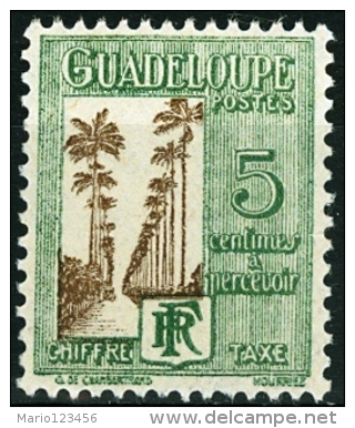 GUADALUPA, GUADELOUPE, COLONIA FRANCESE, FRENCH COLONY, 1928, FRANCOBOLLO NUOVO, SENZA GOMMA (MNG), Scott J27 - Nuovi