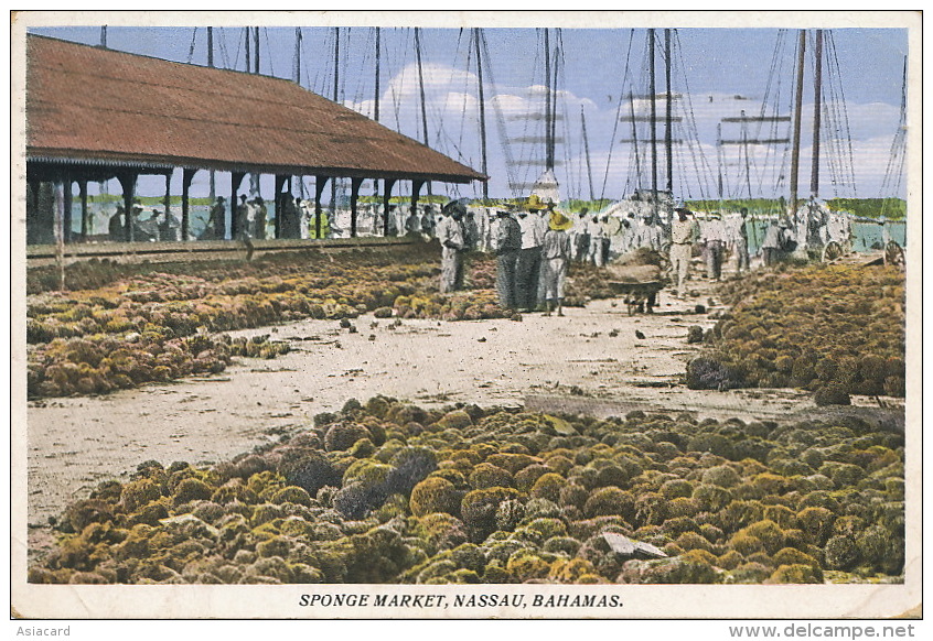 Bahamas Nassau Sponge Market Marché Aux Eponges Timbrée Nassau 1935 Edit Sand's Studio - Bahamas