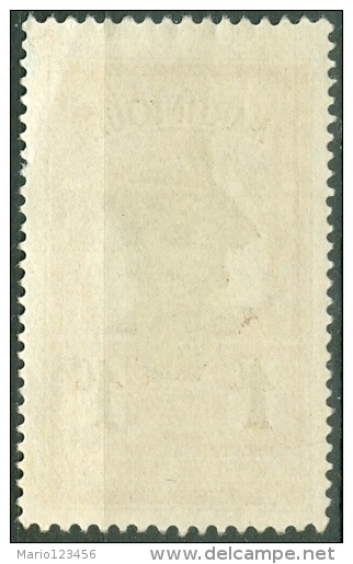 MARTINICA, MARTINIQUE, COLONIA FRANCESE, FRENCH COLONY, 1908, NUOVO, (MNG), Scott 62 - Neufs