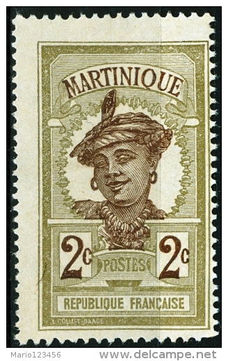 MARTINICA, MARTINIQUE, COLONIA FRANCESE, FRENCH COLONY, 1908-1930, FRANCOBOLLO NUOVO, (MNG) Scott 63 - Neufs